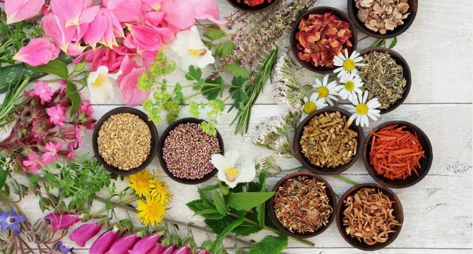 plantas aromáticas cosmética