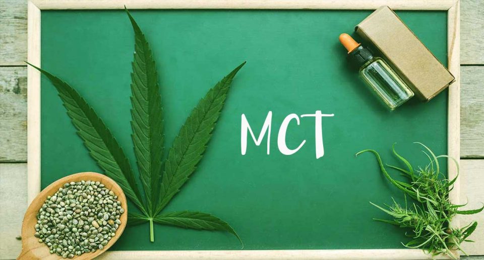 MCT para que sirve? ► Donde comprar Aceite MCT ? ► MCT in CBD