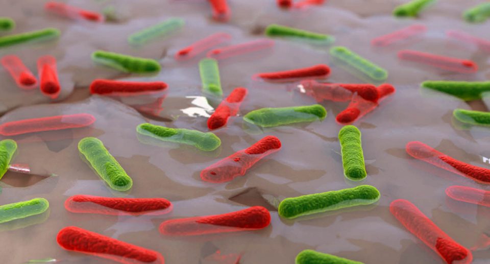 Eliminar el acné mejorando la microbiota de la piel