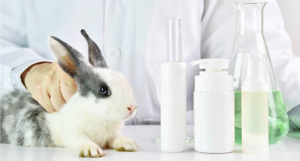 Evaluación in vitro de cosméticos, sin testeo en animales