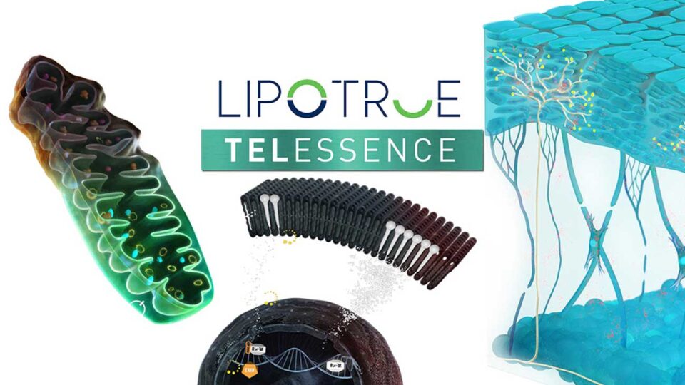 Telessence de Lipotrue - Activos para reducir el envejecimiento por estrés