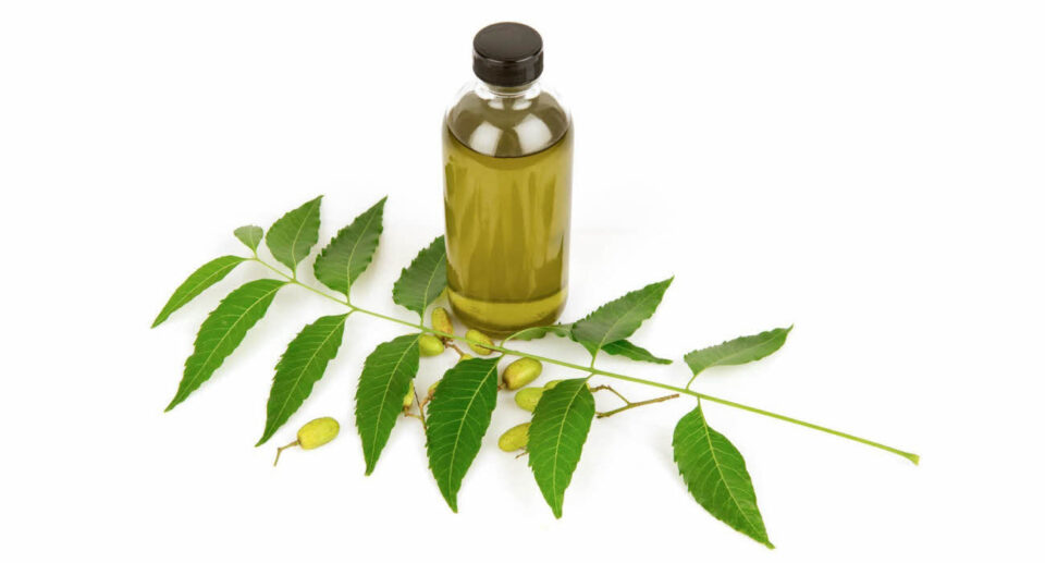 Aceite de neem