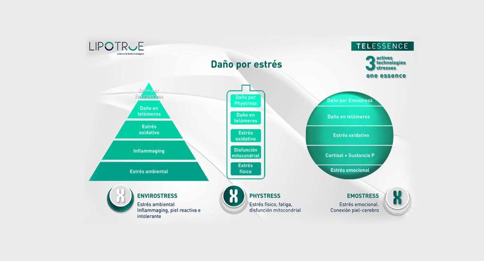 Innovación Cosmética para el Estrés Oxidativo y Envejecimiento