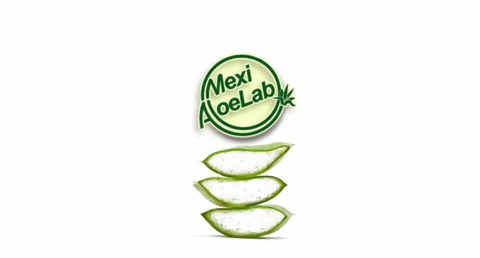 MexiAloe Lab - Productores de Aloe Vera a Nivel Mundial