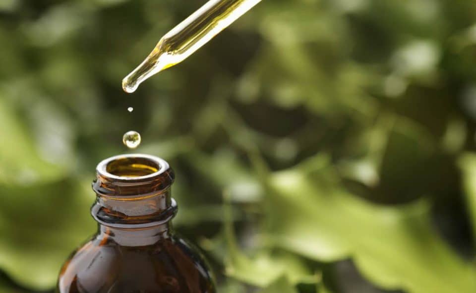 Aceite de Neem, sus propiedades y 23 MARCAS en el mercado