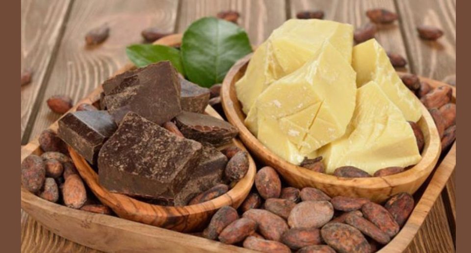 Manteca de Cacao Ecológica - Cómo se Produce y Para Qué Sirve