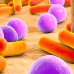 Microbioma y Cosméticos: La Ciencia Detrás de las Afirmaciones de Salud