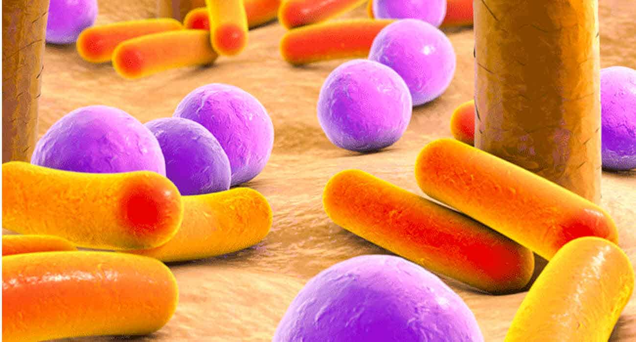 Microbioma y Cosméticos: La Ciencia Detrás de las Afirmaciones de Salud