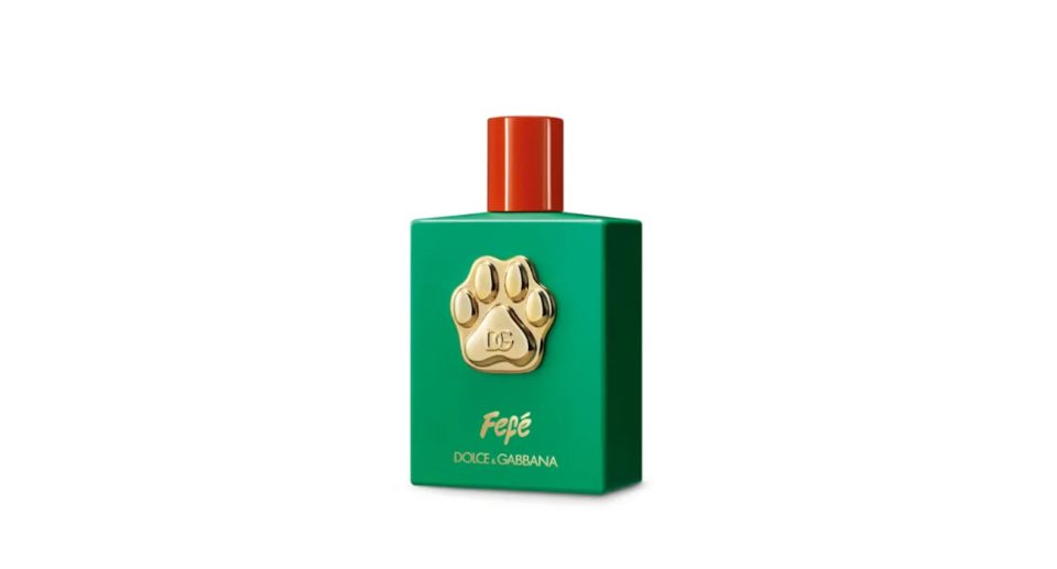 Fragancia Dolce & Gabbana para Perro