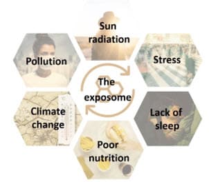 Fig. 1: Factores externos, resumidos bajo el término exposoma, que pueden tener un efecto negativo sobre el estado de la piel.